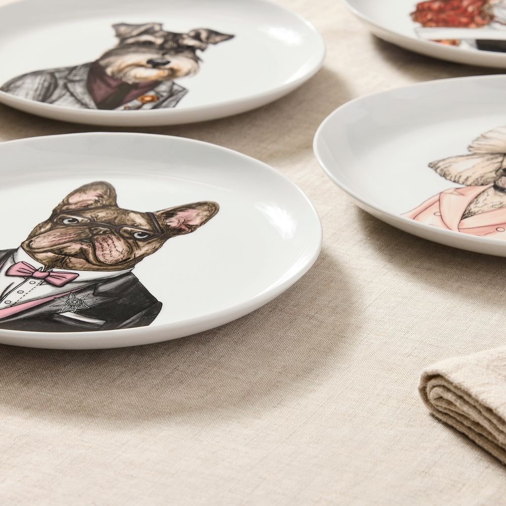 Animal plate set 2025