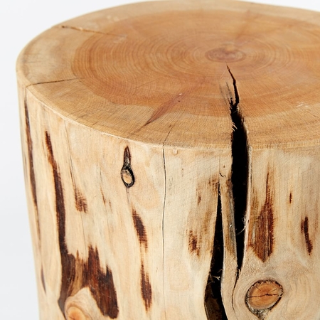 West elm natural tree shop stump side table