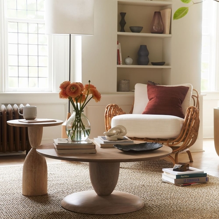 West elm hot sale rattan chair